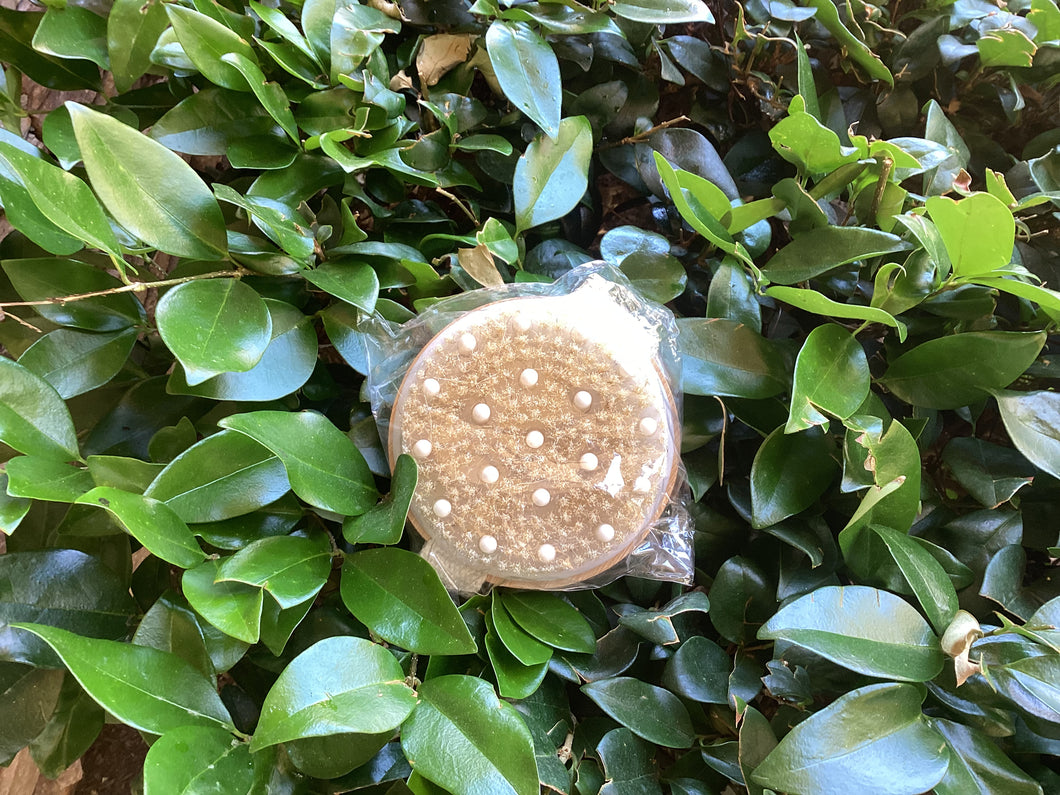 Bamboo dry body brush