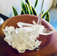 Load image into Gallery viewer, Clear Quartz Cluster 1
