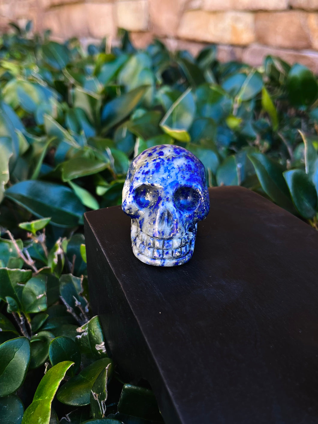 Lapis Lazuli Skull P21